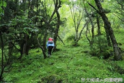 若无好天气，就自己成为风景读后感1000字