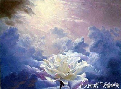 玫瑰挞的读后感大全