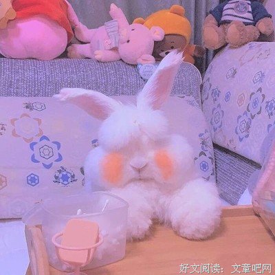 我那么看到还起些细微入心的句子