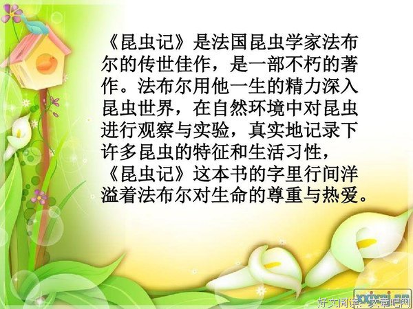 《爱过就是一生一世》经典读后感有感