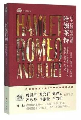爱的疯狂与胜利的读后感大全