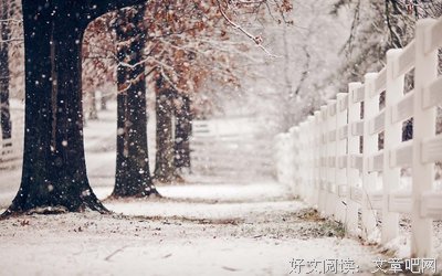 关于岁岁年年的唯美语录