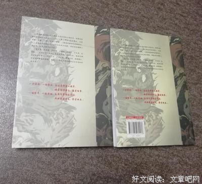 《帝国镖路》读后感1000字