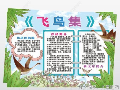 《飞鸟集》读后感1000字