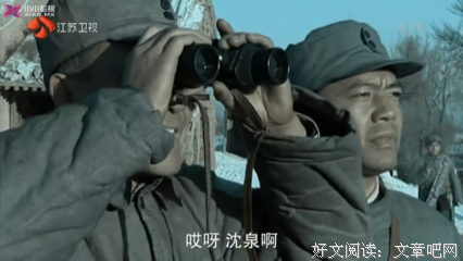 《若爱重生·周旋1946》读后感精选