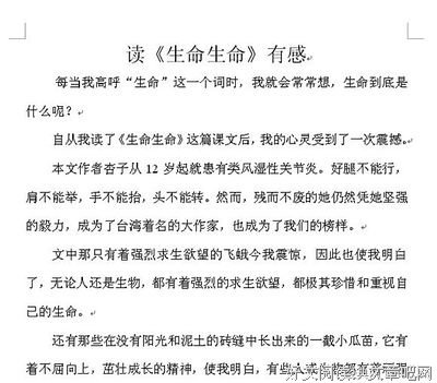 《追怀生命》读后感摘抄