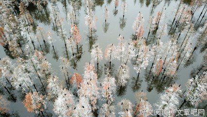 《魅影天堂》经典影评集