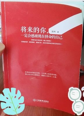 让将来的你，感谢现在拼命的自己经典读后感有感