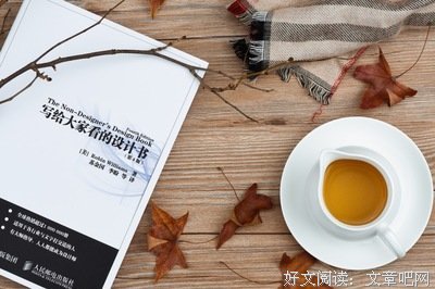 写给大家看的C++书经典读后感有感