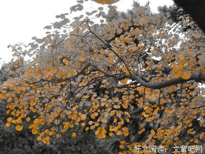 南宋稼轩名句欣赏