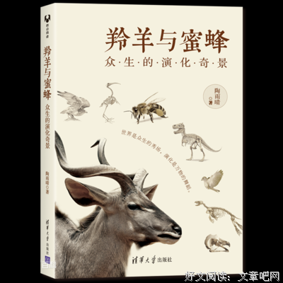 《羚羊与蜜蜂：众生的演化奇景》经典读后感有感