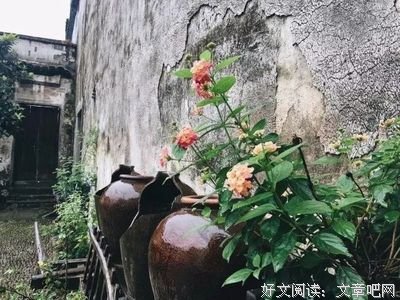关于纸上戎马，半生浮华的优美句子