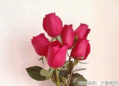 世界哲理 黑暗句子