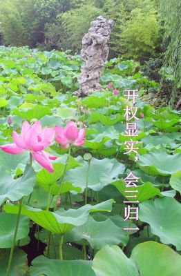 摘记经典名句