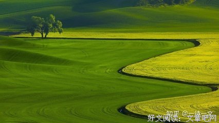 有关哲思——补的句子