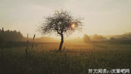 光影记事句子大全