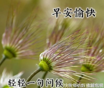 过眼云烟句子