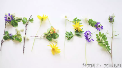 〈岛人日记〉优美的句子