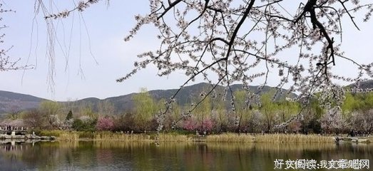 《无名》的句子