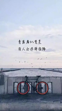 关于心向阳光的优美句子
