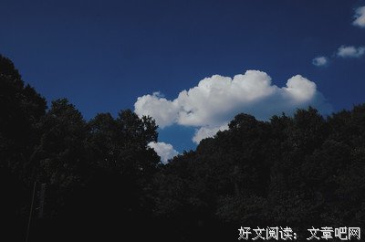 最全的木土土的名句
