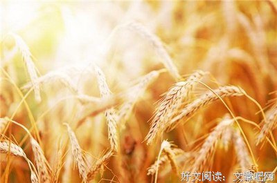 我们的爱情故小会句子