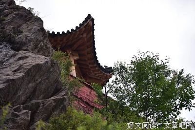 最新的《信心铭 悟》经典句子