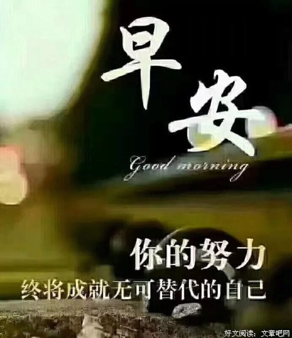 关于乌龟的安逸的句子
