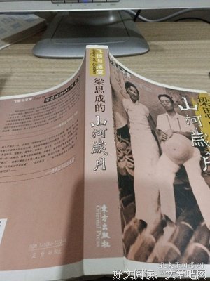 梁思成的山河岁月读后感100字