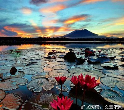 关于给你一片坦荡的句子