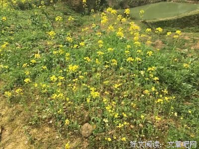 一听就好好词好句