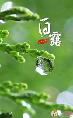 关于清风朗月的句子