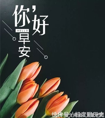 《年轻的你you》的句子