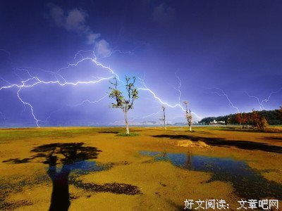 落花时节又逢君的句子
