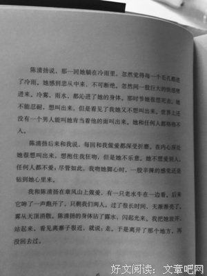 王经典的句子