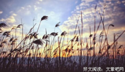 情感好词好句