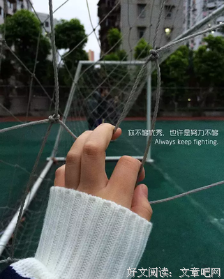 最爱经典的句子