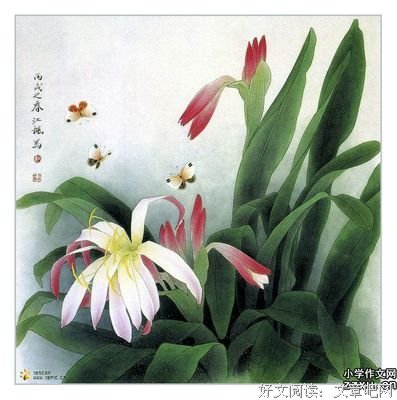 关于知我意者的优美句子