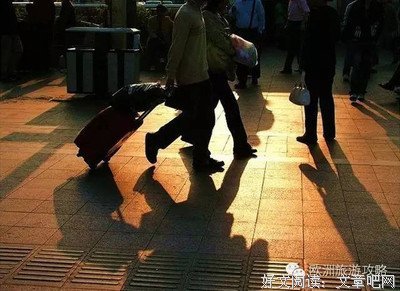 我们仍未知道那天所看见的花的名字的优美句子