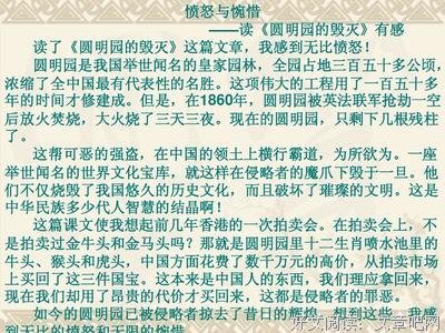 中国人的教训（上册）读后感锦集
