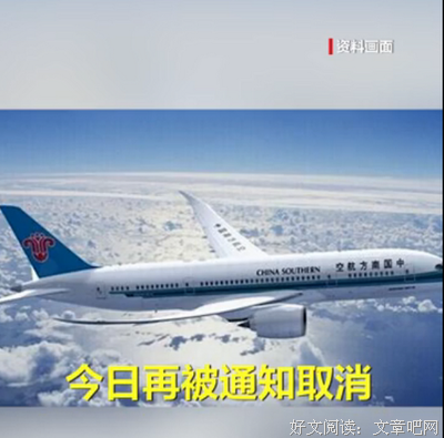 《薛定谔的快乐》影评摘抄