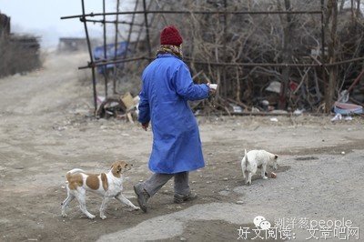角落里的老人经典读后感有感