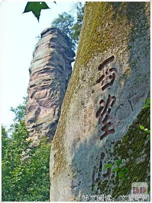 《回顾所来径》的读后感大全