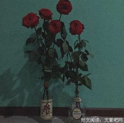 最全的《宁静的最每年处》佳句摘抄