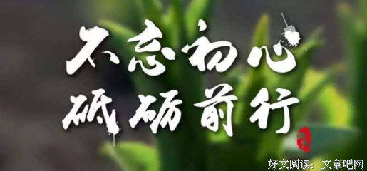 《人生总要独自前行》读后感100字