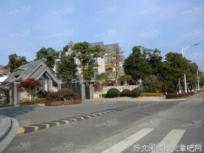 《华丽家族》的观后感大全