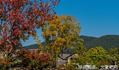 《灯之湖畔》经典读后感有感