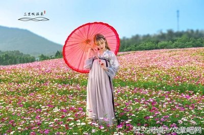 《遇见格桑花》读后感1000字