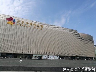 《目的地，上海》影评精选