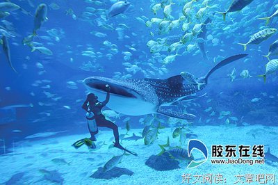 《海底两万里》的影评大全